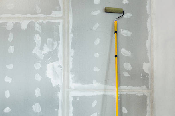 Reliable Albany, MN Drywall and Painting Service Solutions